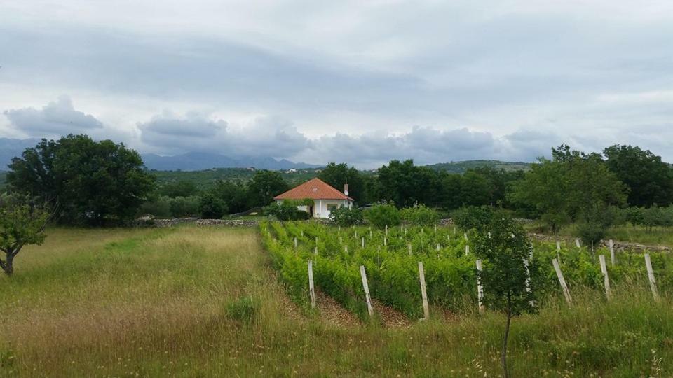 Holiday House Tunjarice Обровац Экстерьер фото